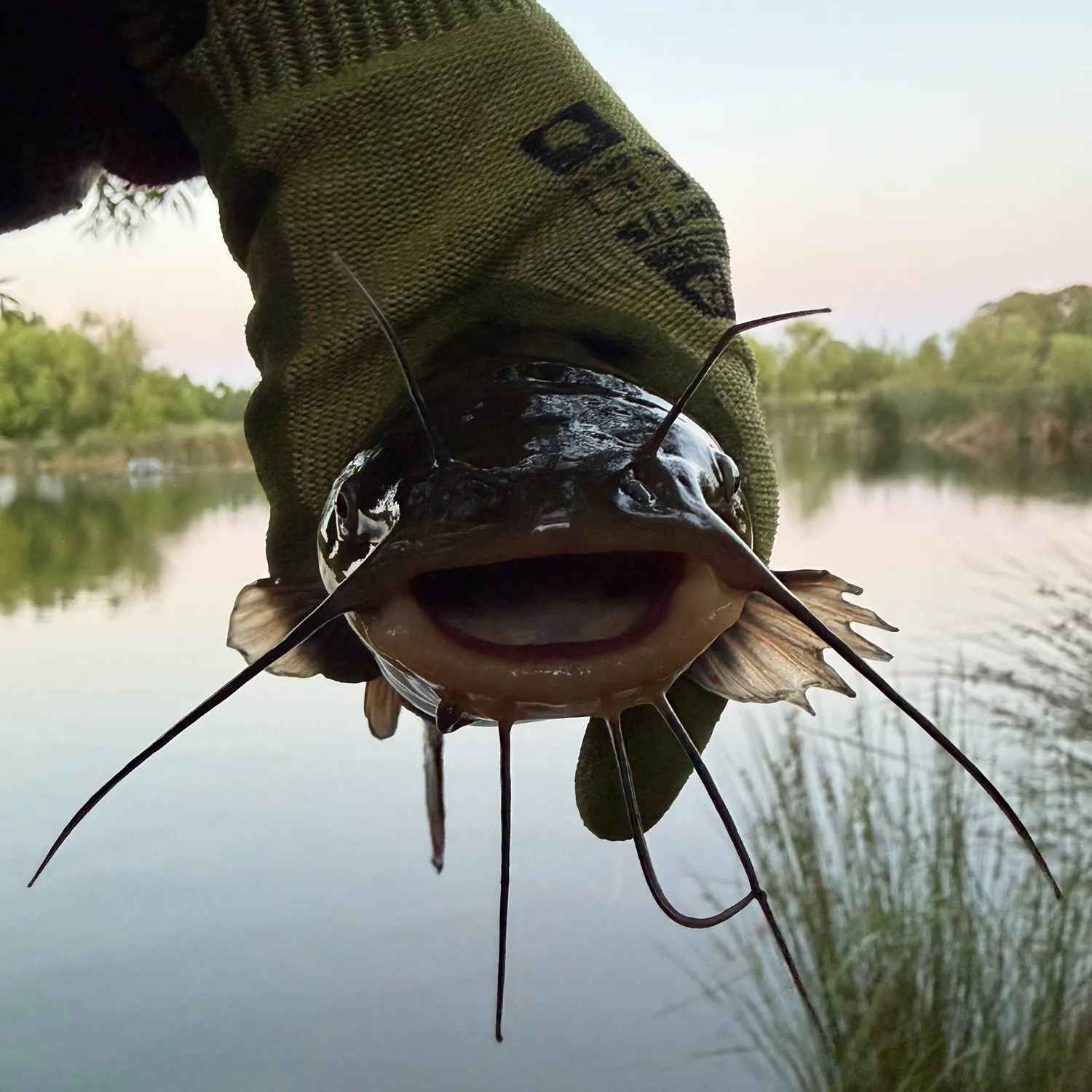 catch