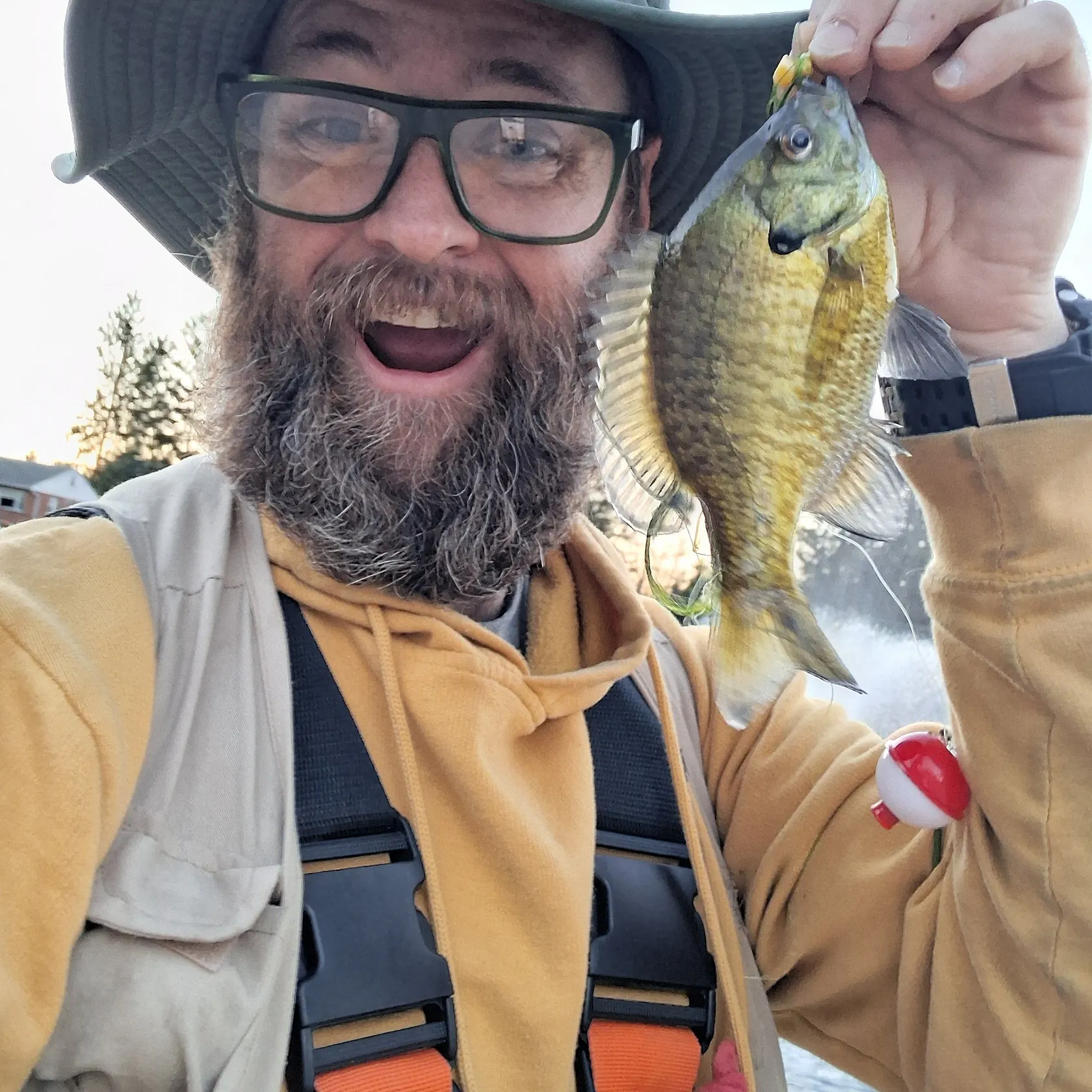Bluegill caught on Fishbrain