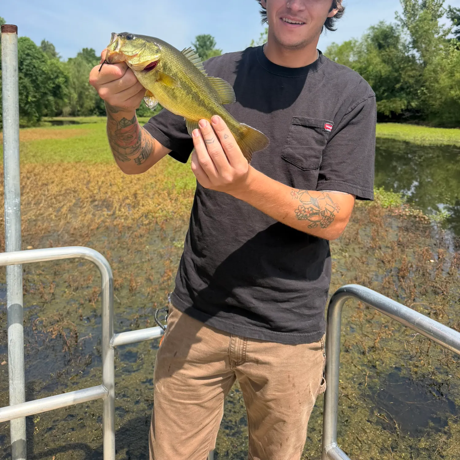 Largemouth bass caught on Fishbrain