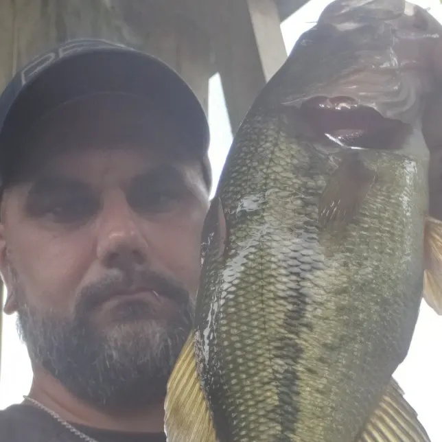 angler catch
