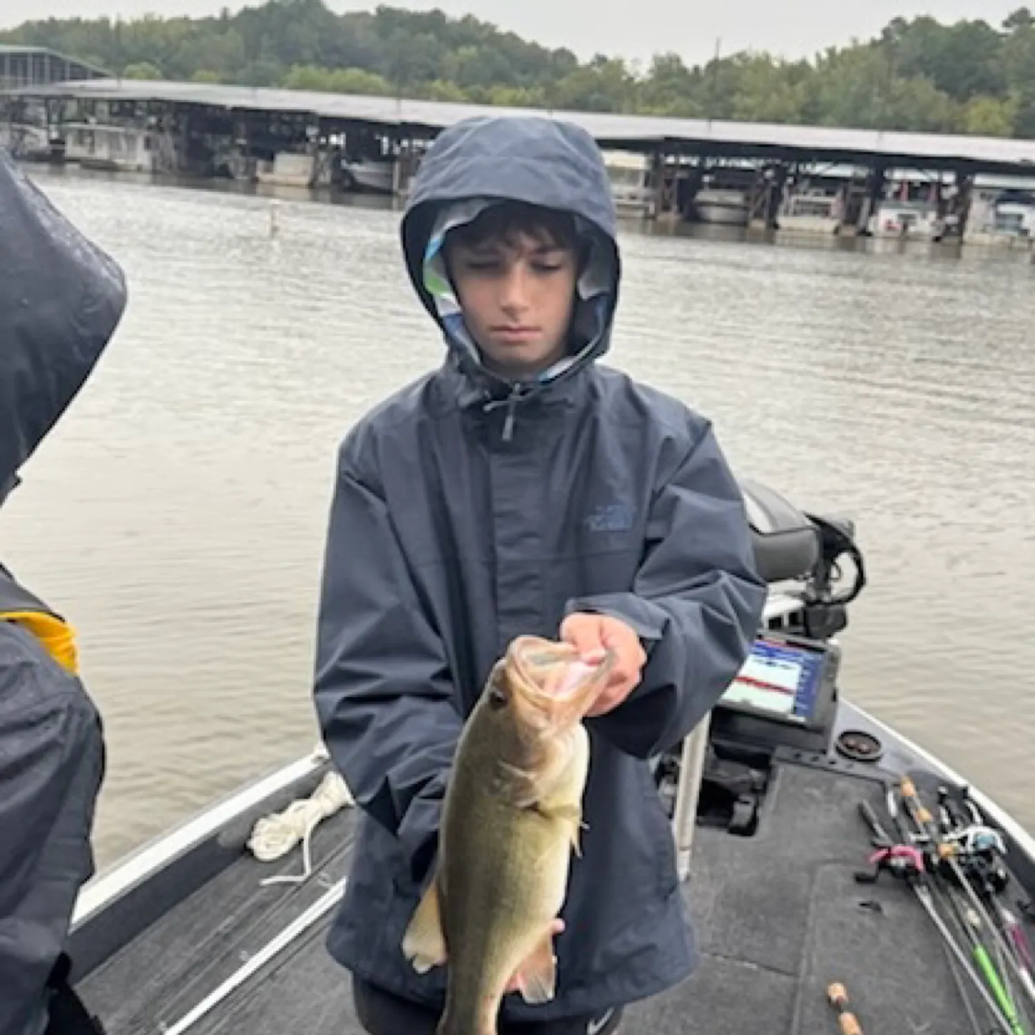 The most recent Golden mahseer catches on Fishbrain