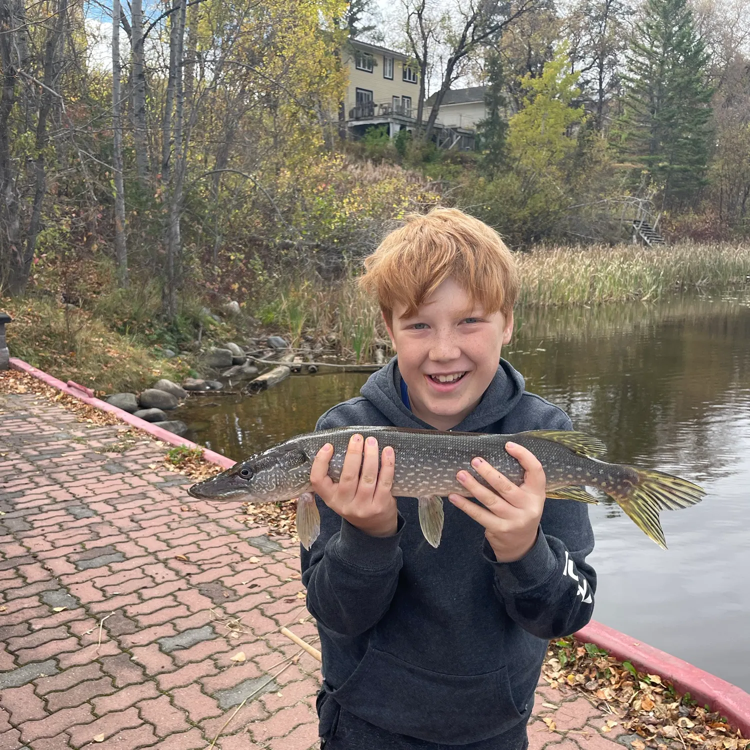 Northern pike caught on Fishbrain