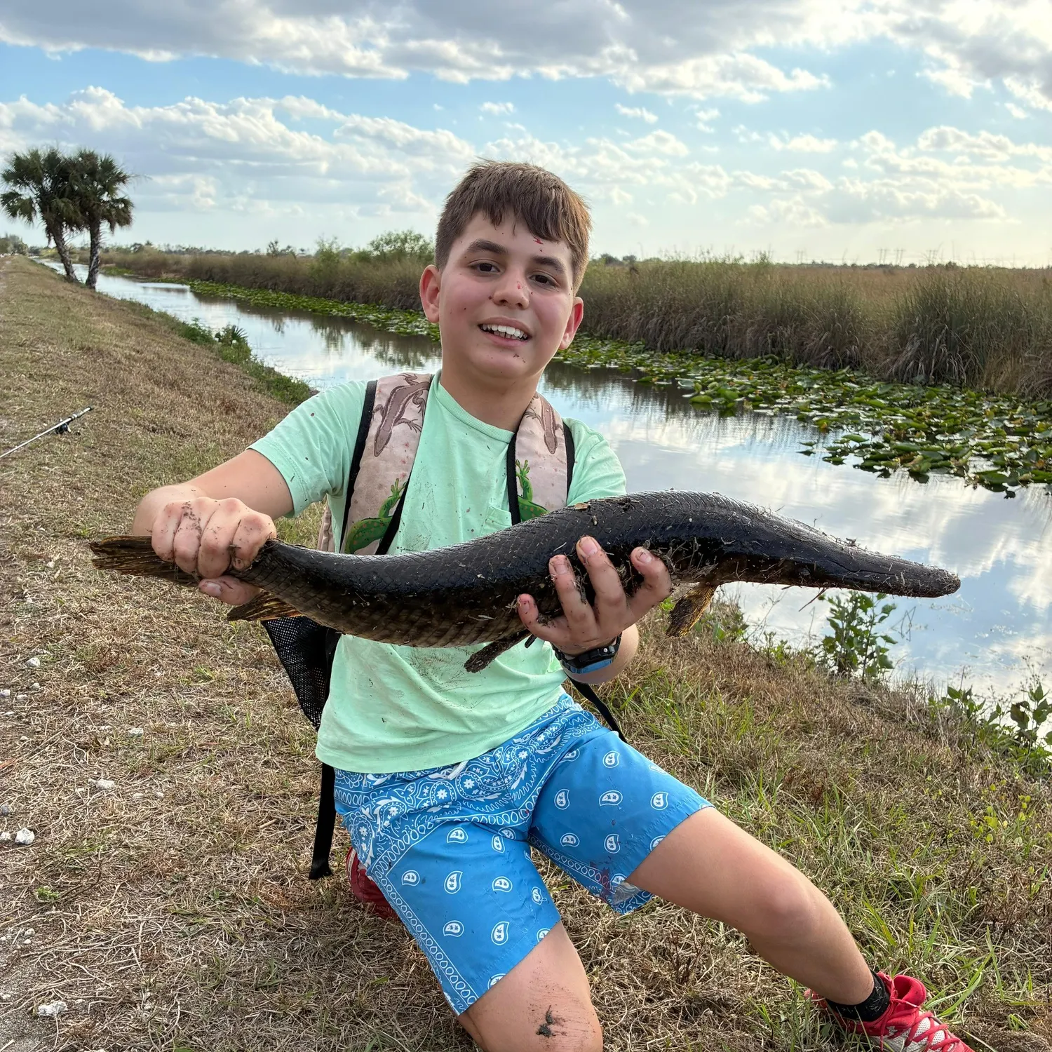 The most recent Florida gar catches on Fishbrain