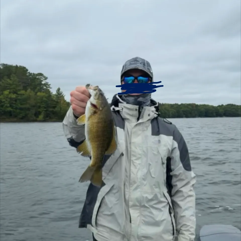 Smallmouth bass caught on Fishbrain
