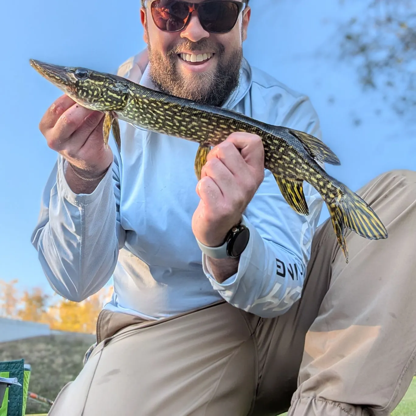 Northern pike caught on Fishbrain