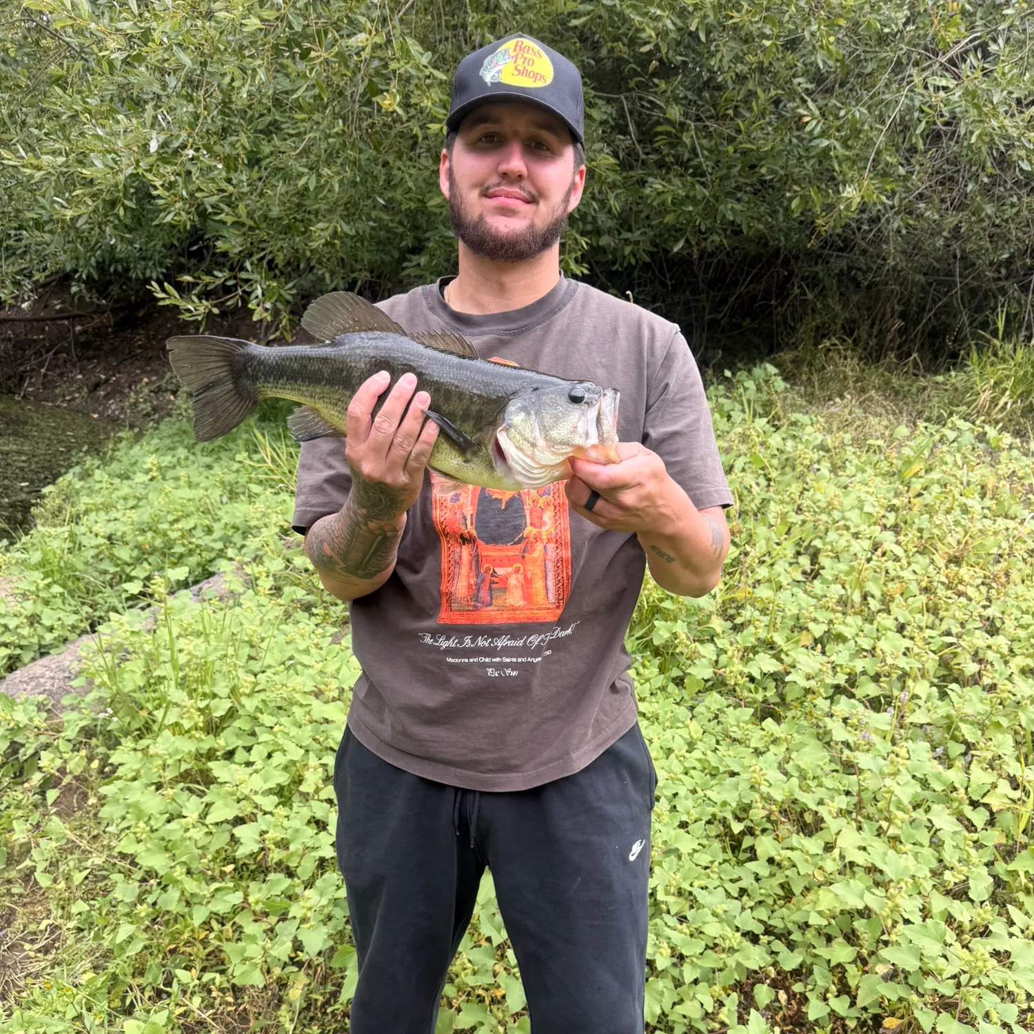Largemouth bass caught on Fishbrain