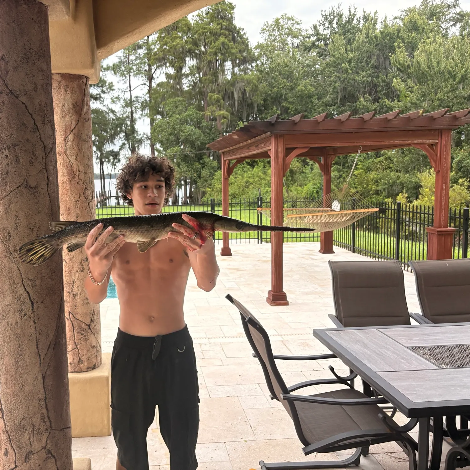 Longnose gar caught on Fishbrain