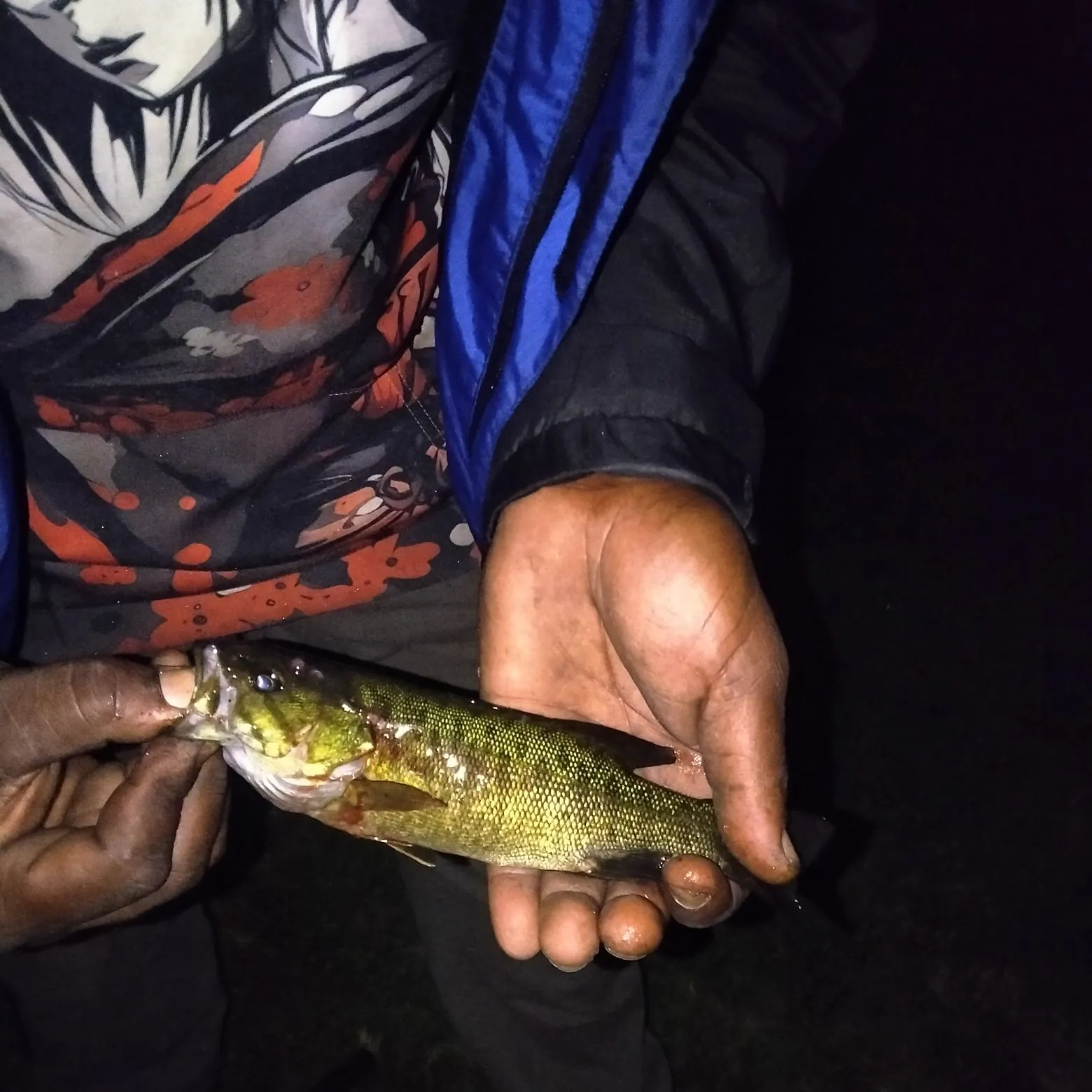 Smallmouth bass caught on Fishbrain