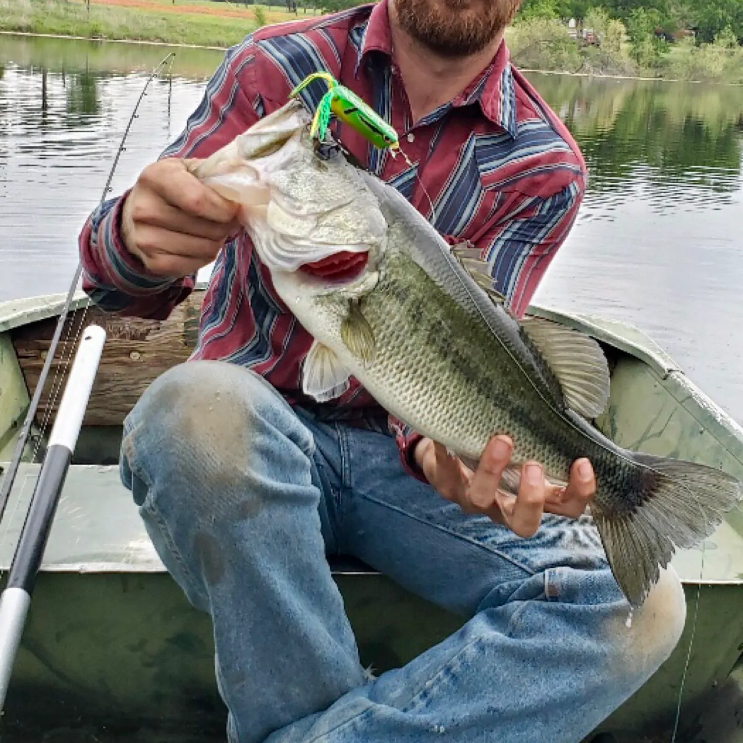 angler catch