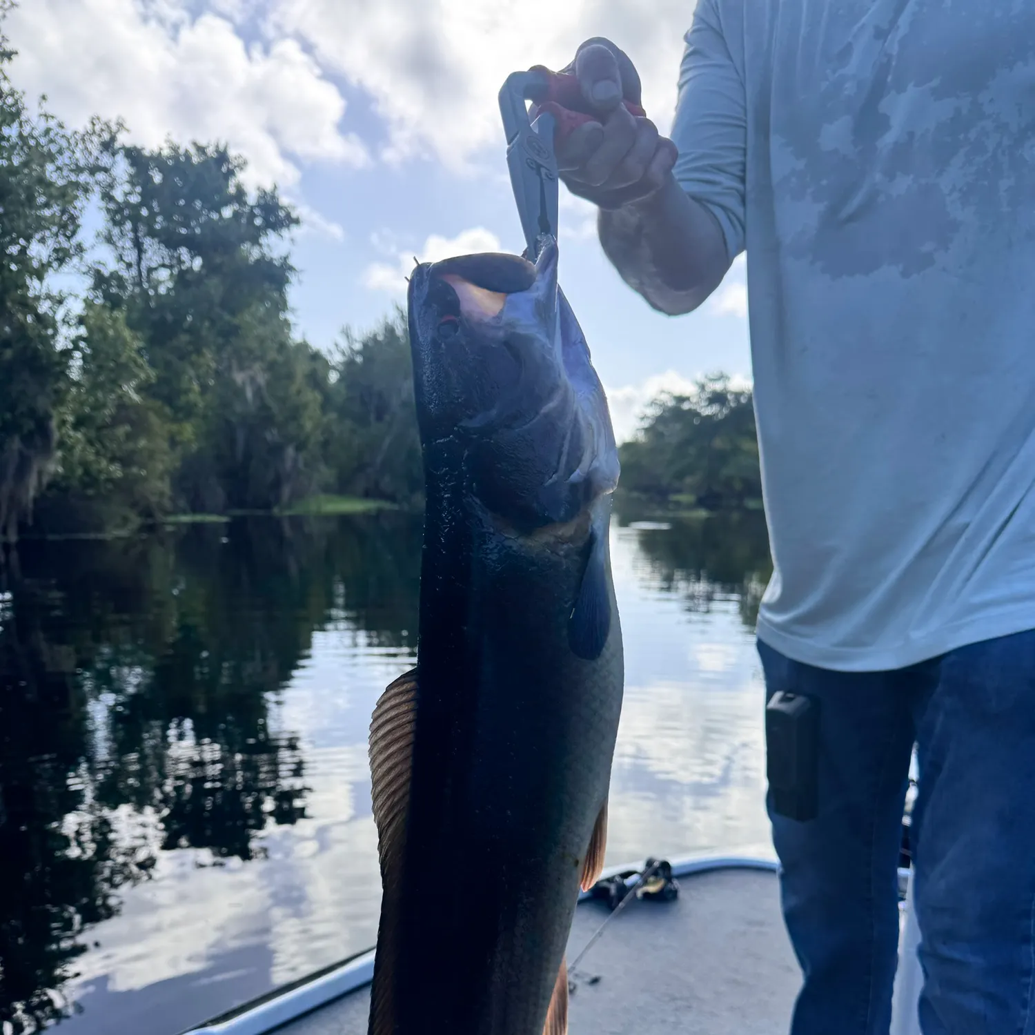 catch