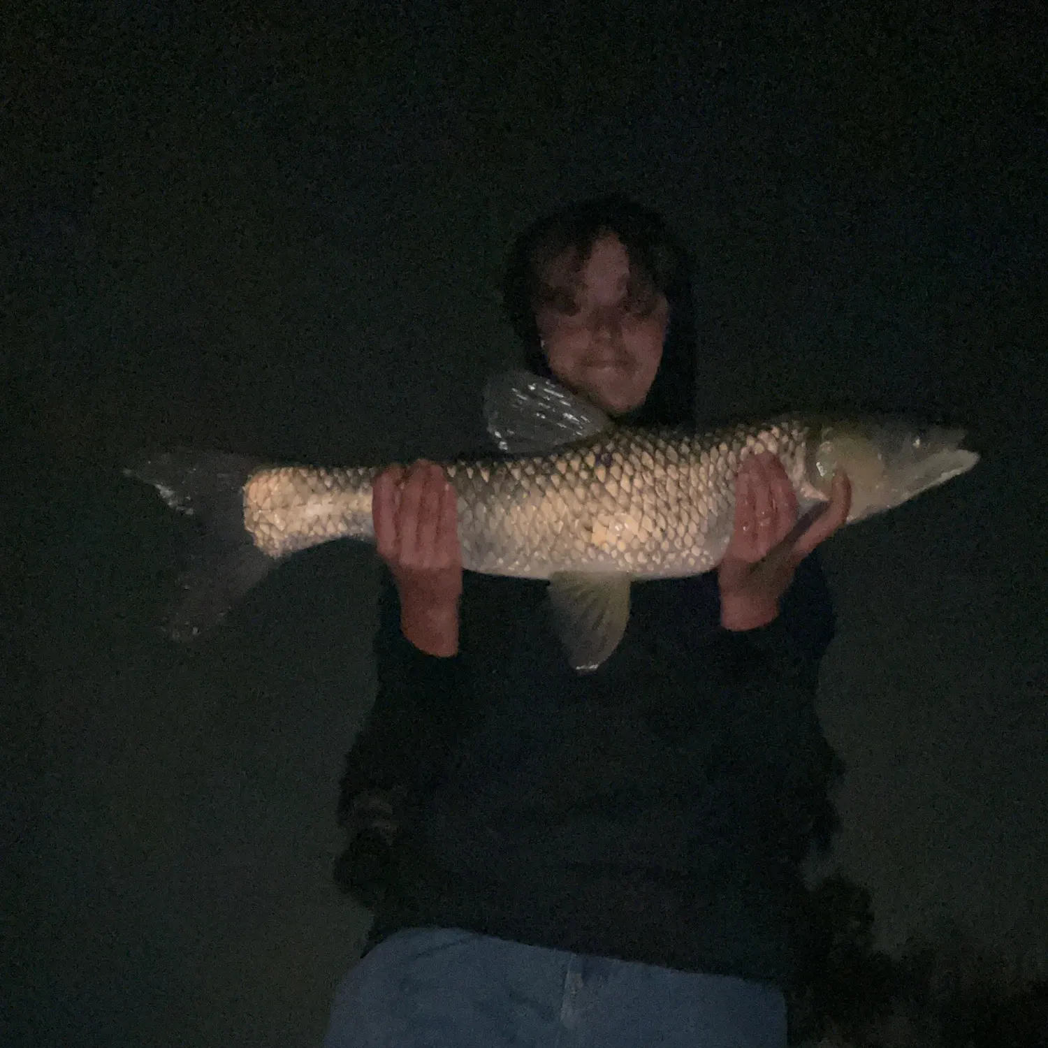 The most recent Grass carp catches on Fishbrain