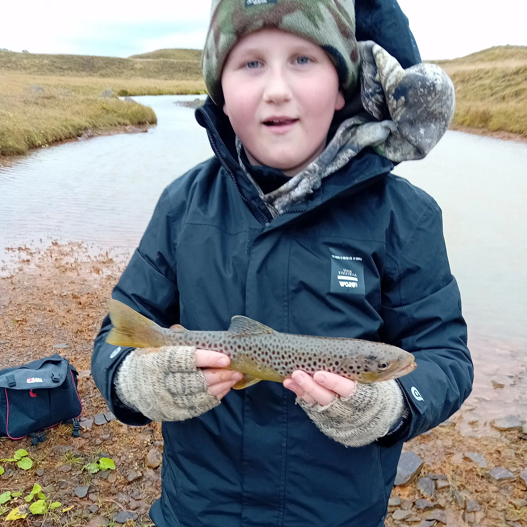 Brown trout caught on Fishbrain
