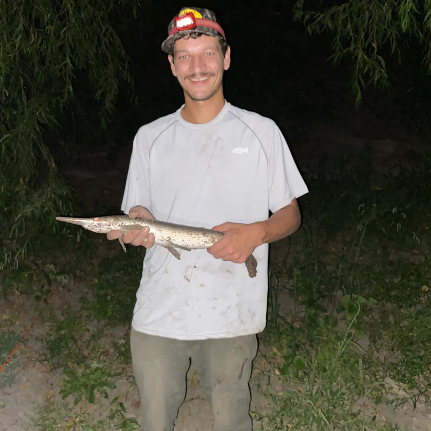 Shortnose gar caught on Fishbrain