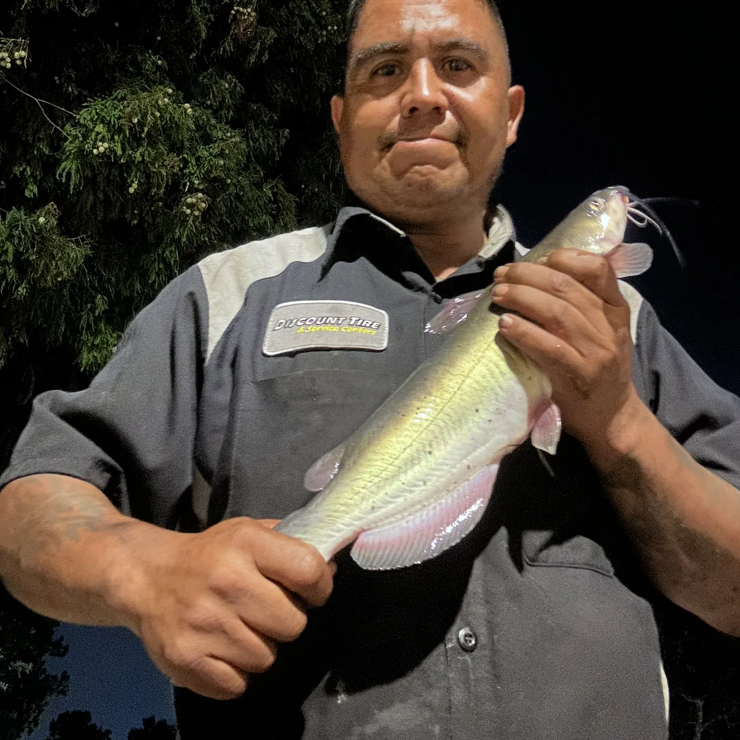Channel catfish caught on Fishbrain