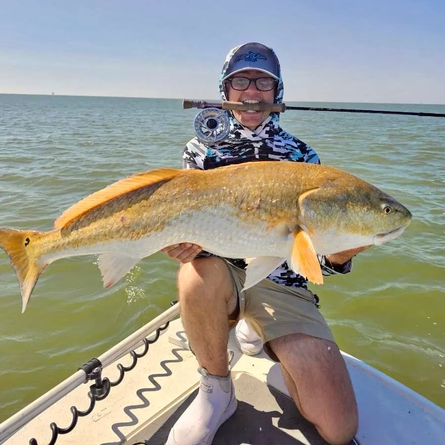 Red drum caught on Fishbrain