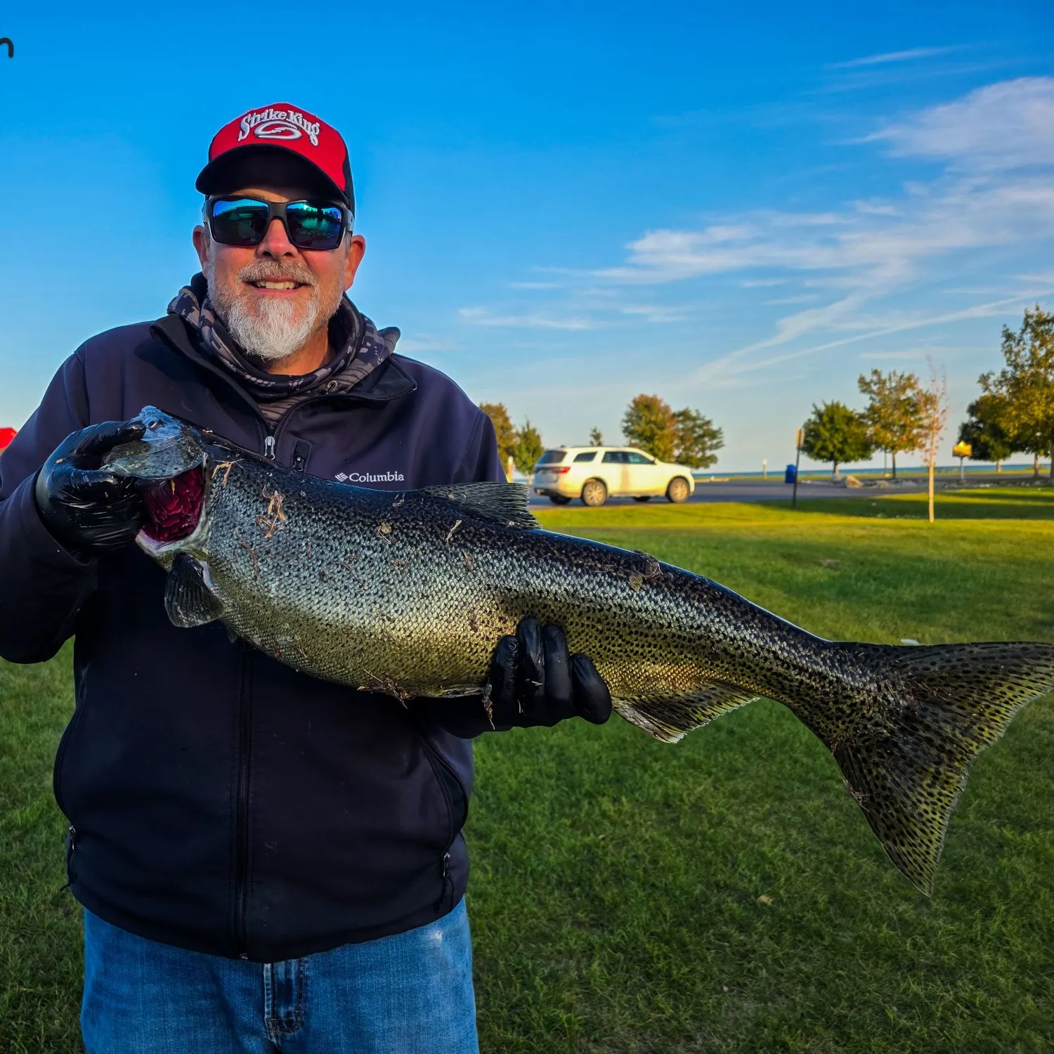 Chinook salmon caught on Fishbrain