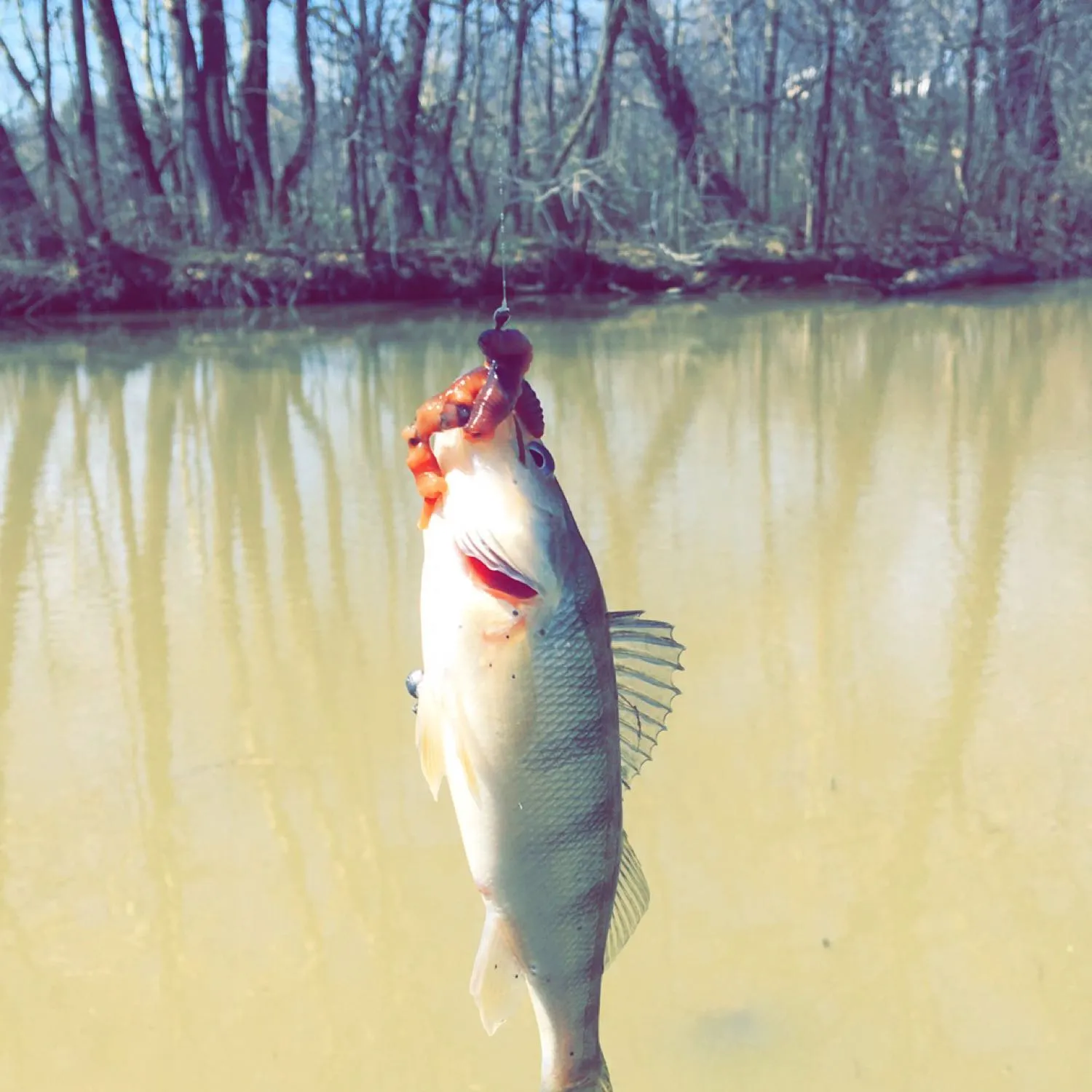 angler catch