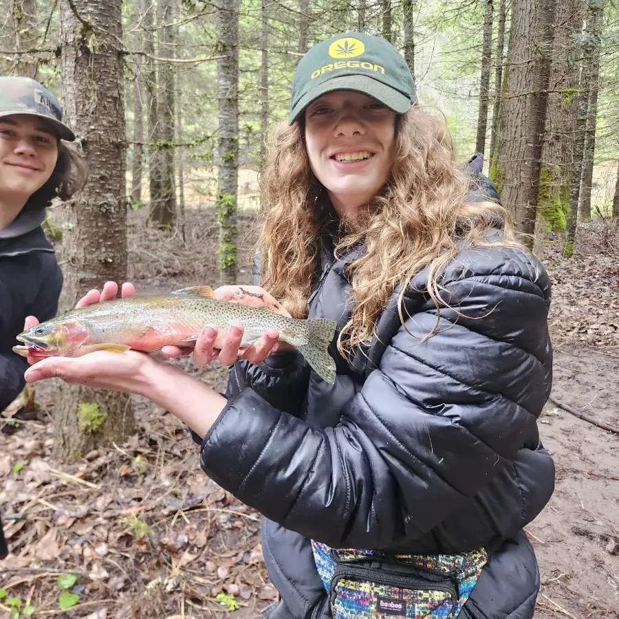 The most recent Rio Grande cutthroat trout catches on Fishbrain