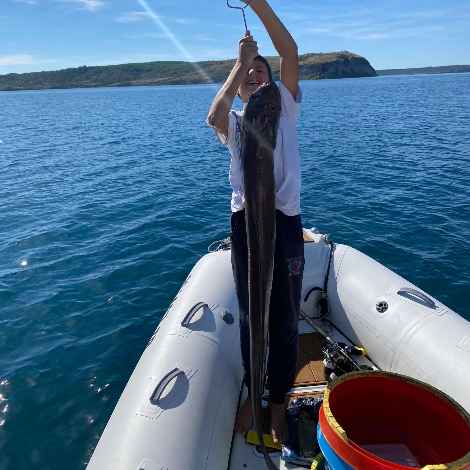 The most recent European conger catches on Fishbrain