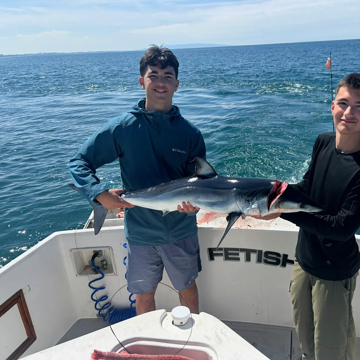 The most recent Shortfin mako shark catches on Fishbrain