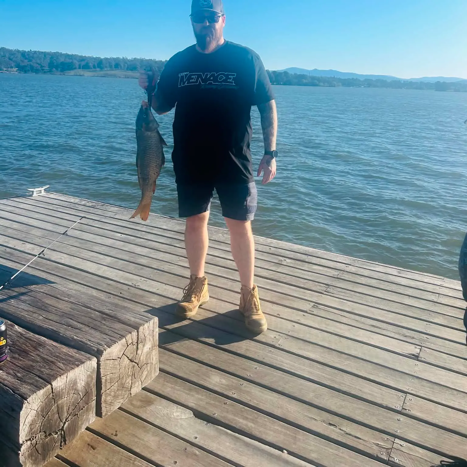 Common carp caught on Fishbrain