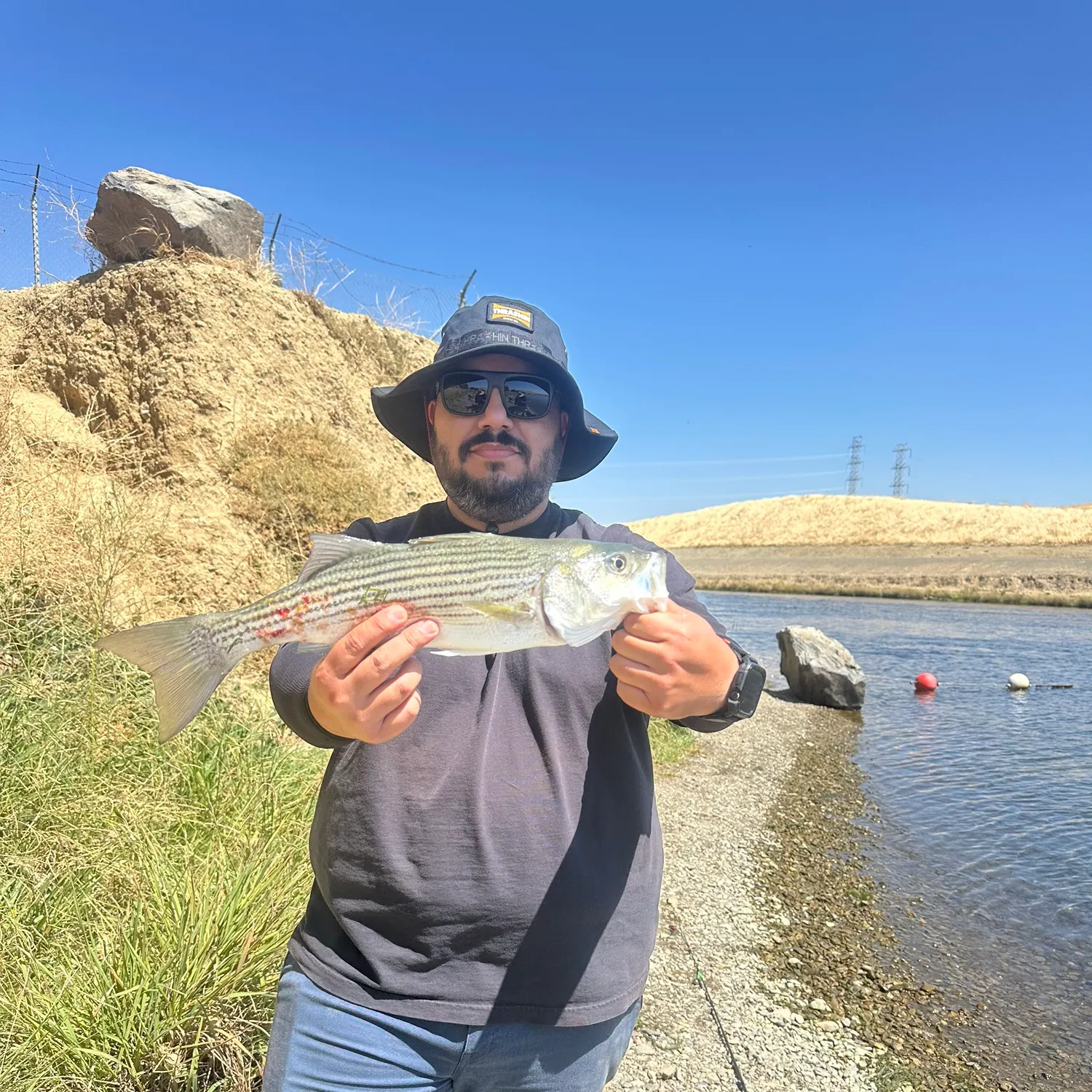 Striped bass caught on Fishbrain