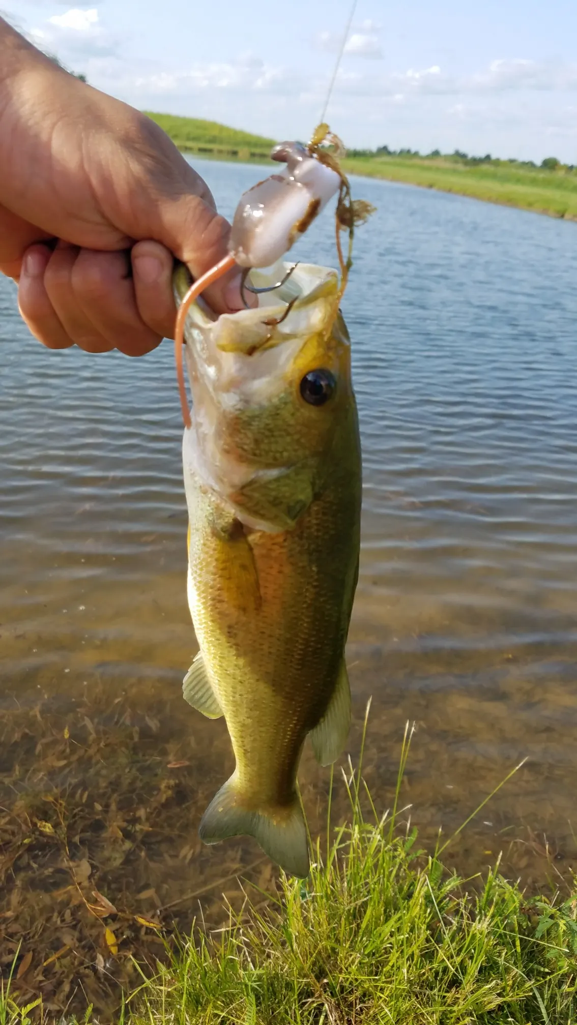 Post image from RiverRecon