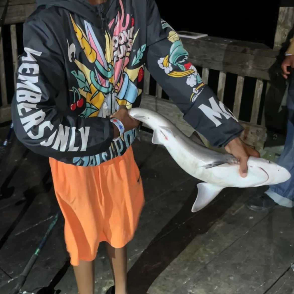 Sandbar shark caught on Fishbrain