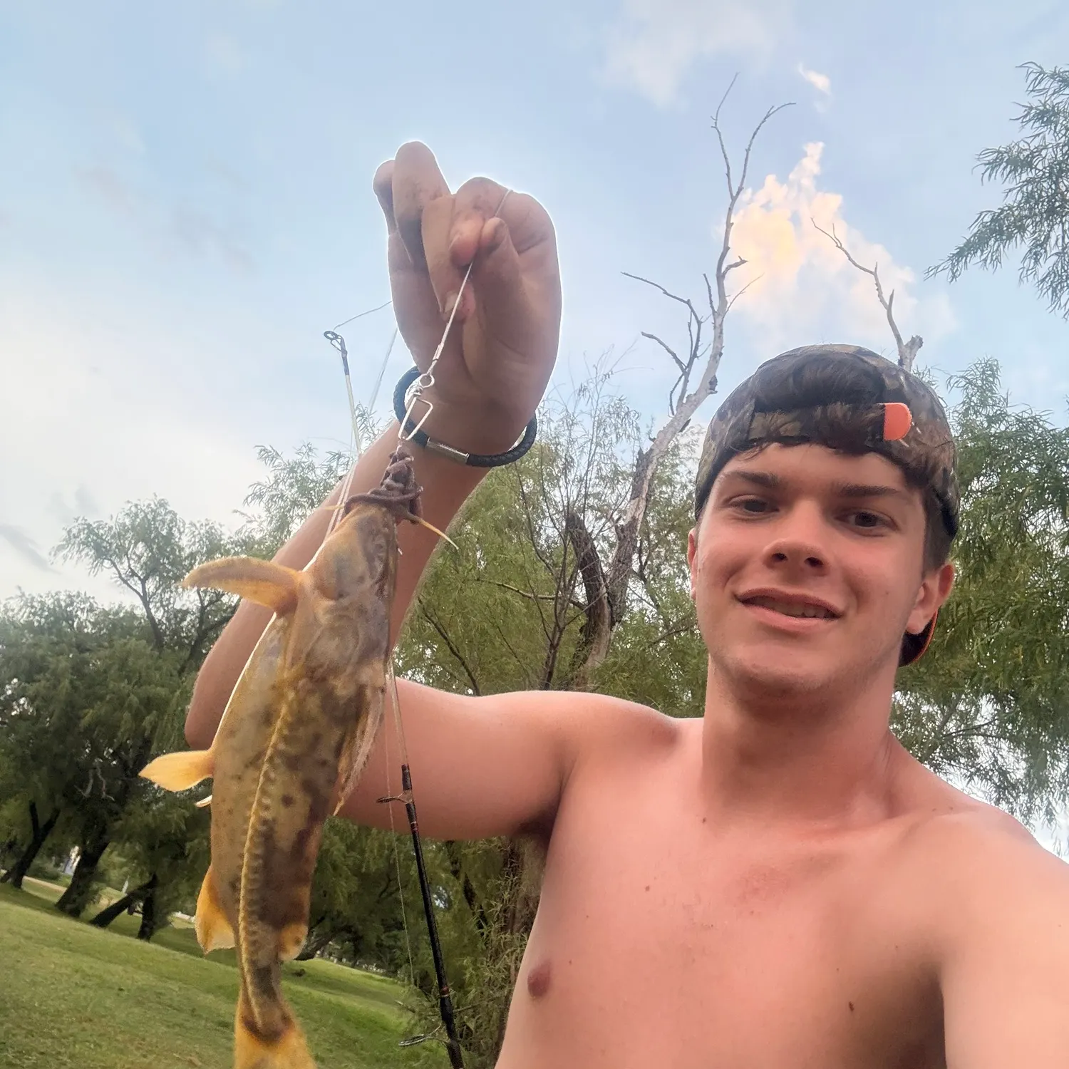 The most recent Granulated catfish catches on Fishbrain