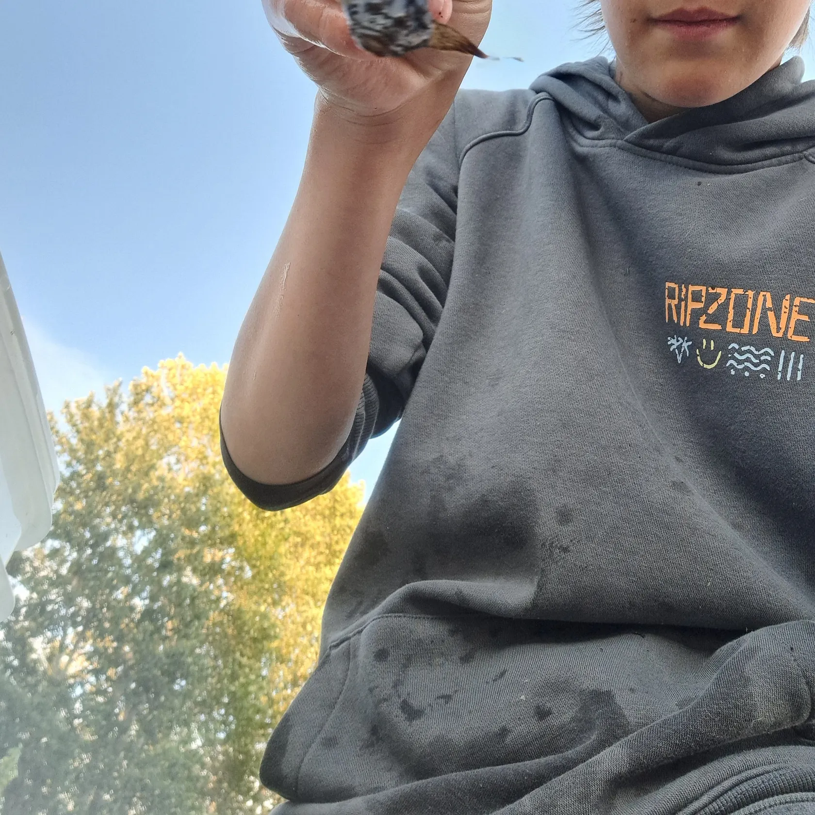 The most recent Prickly sculpin catches on Fishbrain
