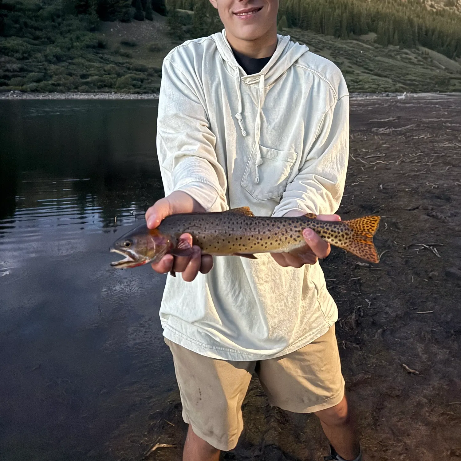 Cutthroat trout caught on Fishbrain