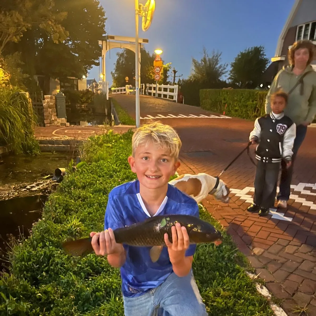 Common carp caught on Fishbrain