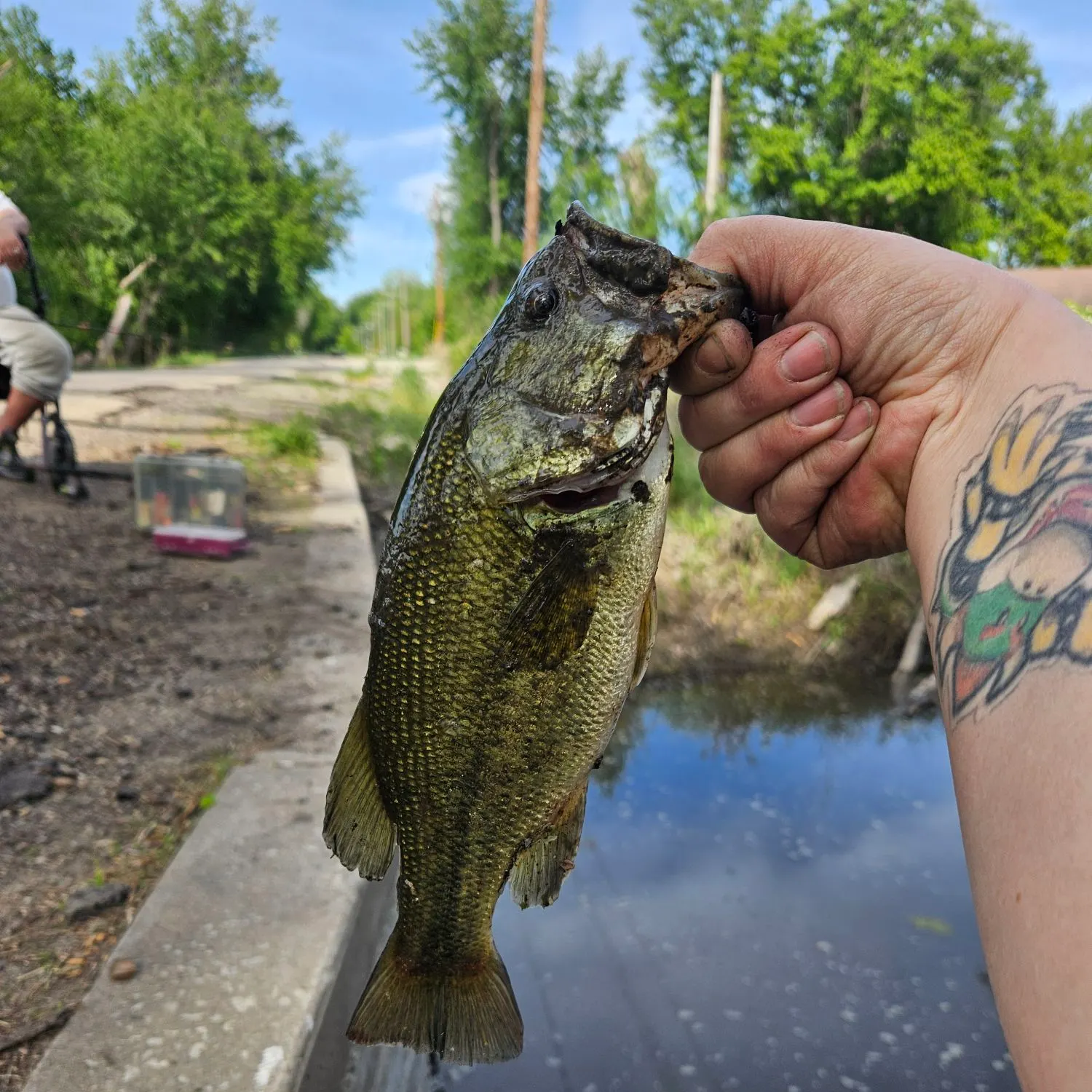 catch