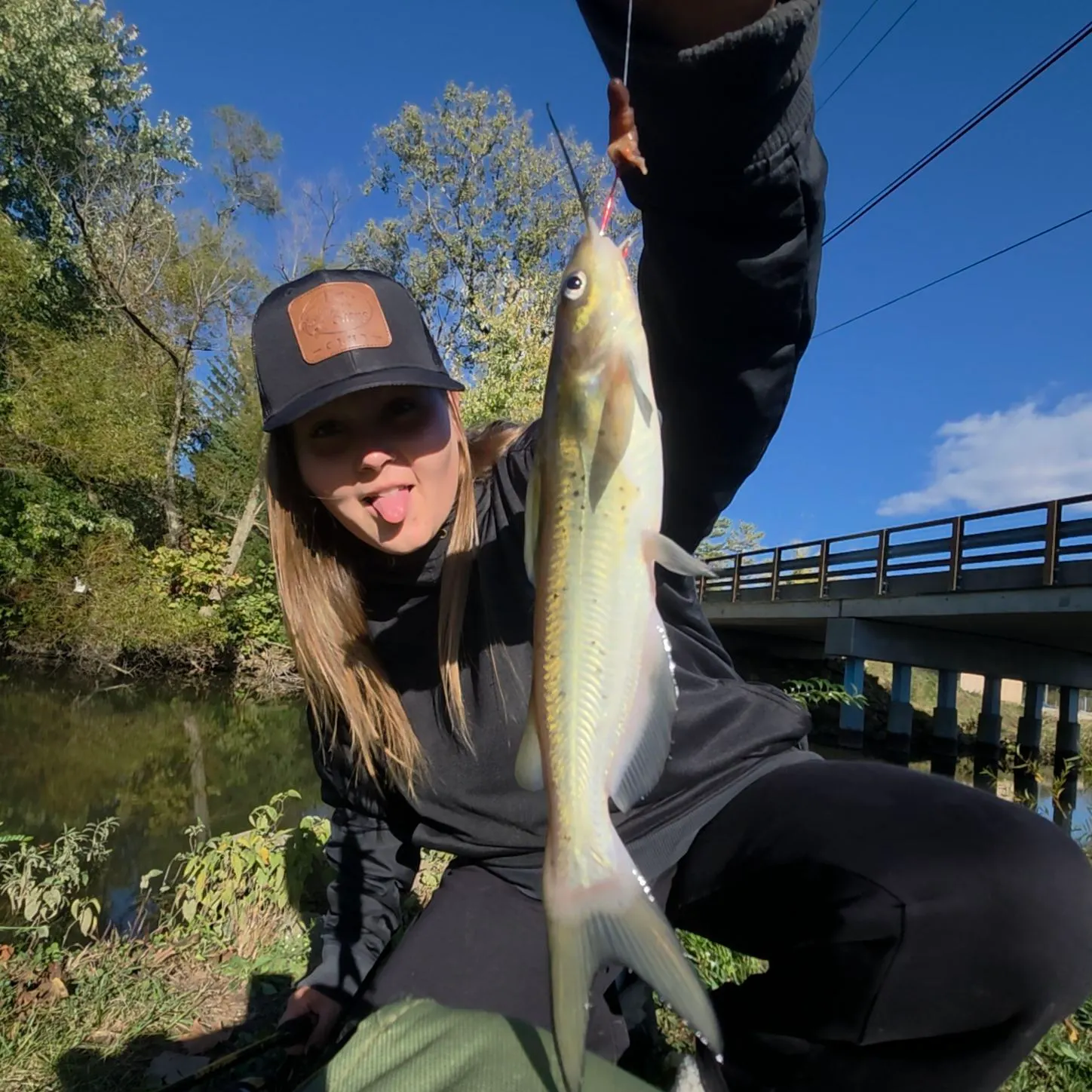 Channel catfish caught on Fishbrain