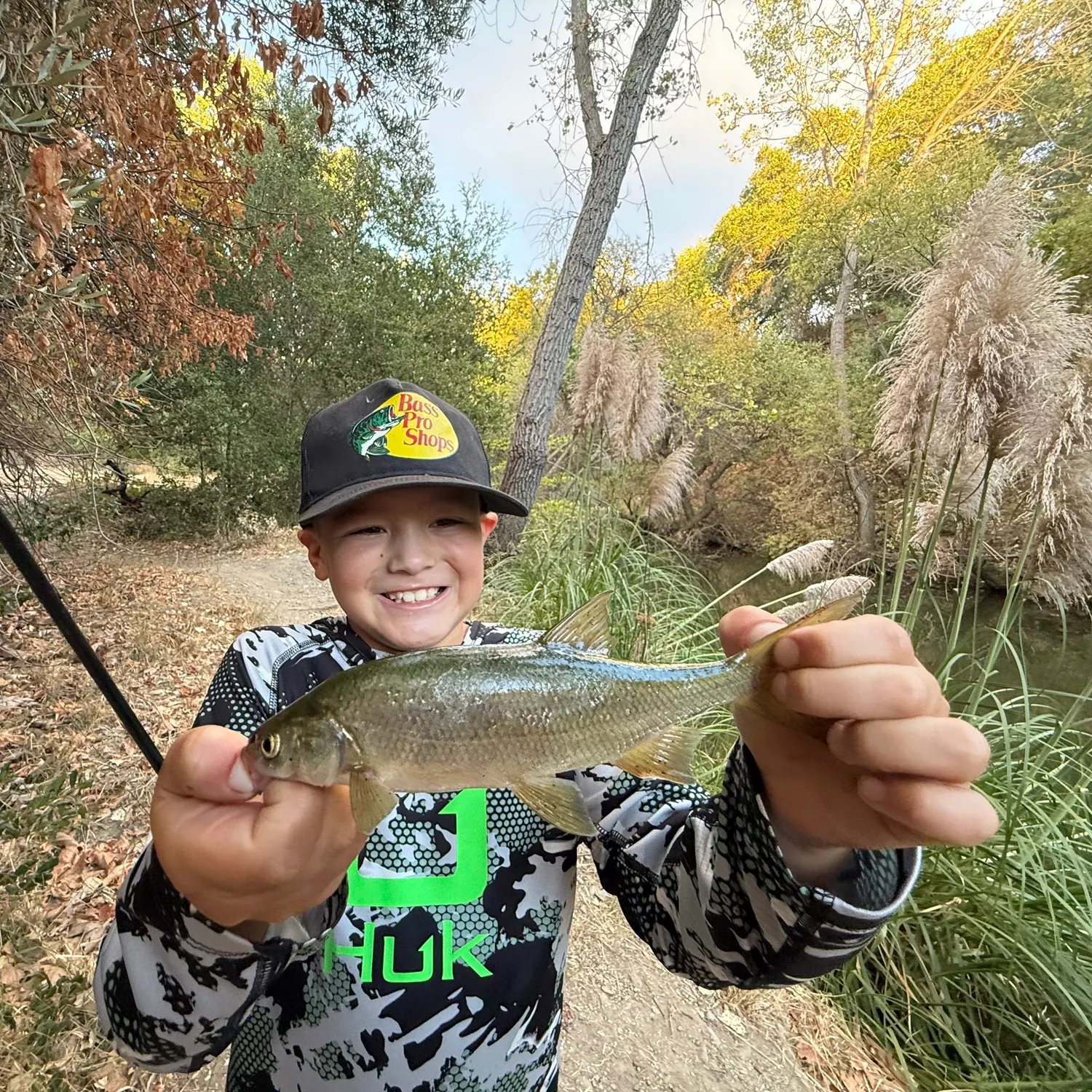 The most recent Hardhead minnow catches on Fishbrain