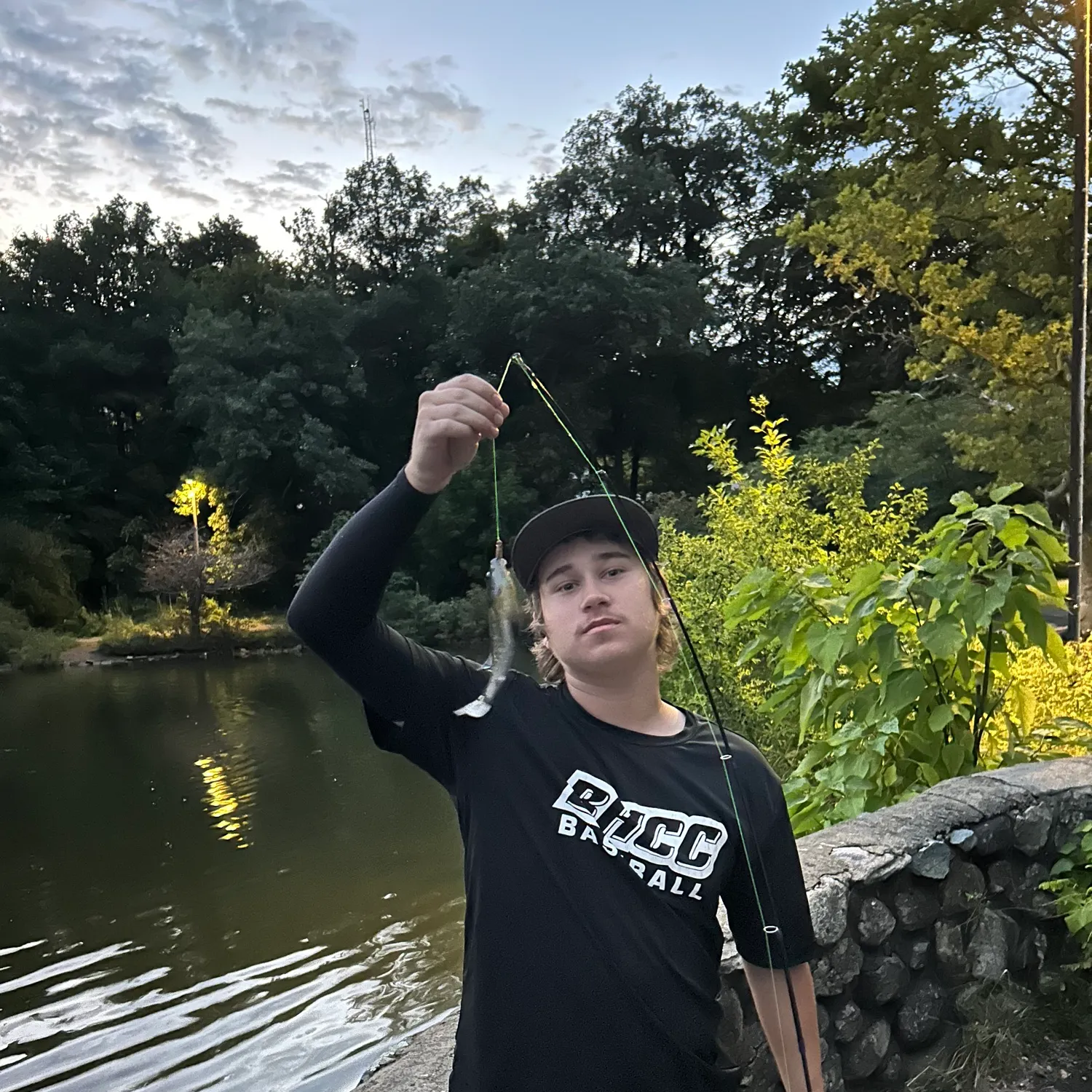 Green sunfish caught on Fishbrain