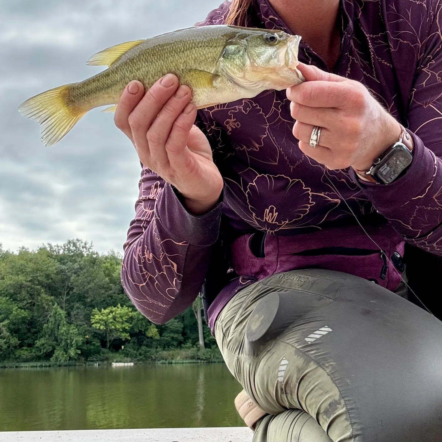 Largemouth bass caught on Fishbrain