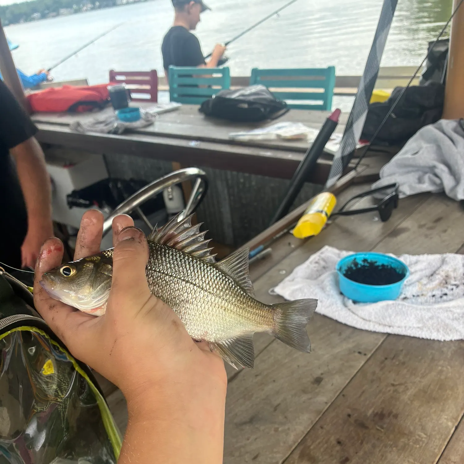 catch