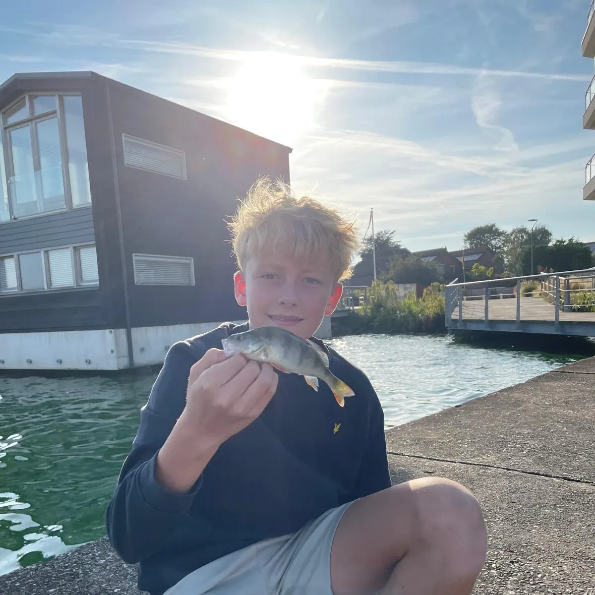 European perch caught on Fishbrain