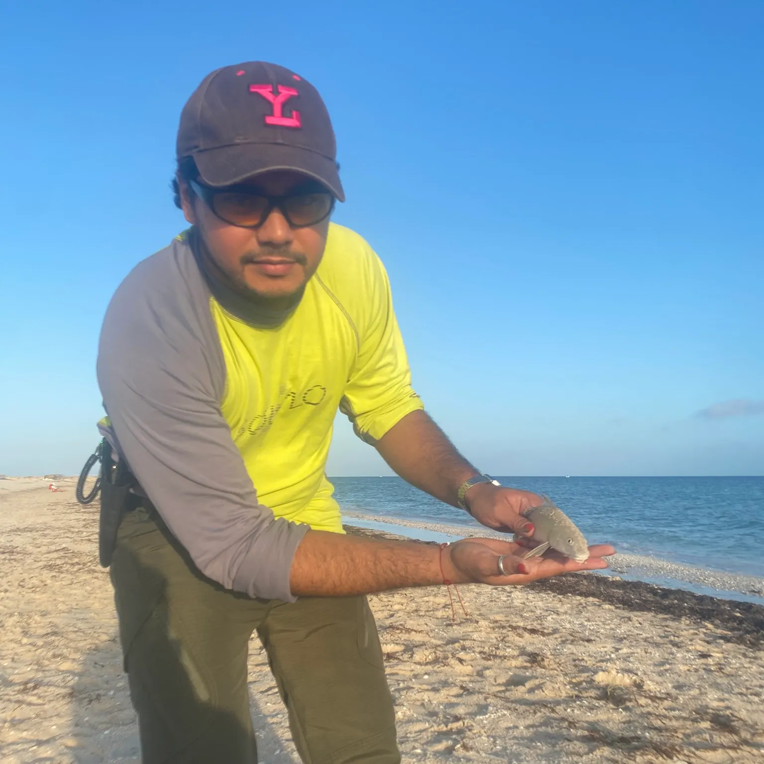 The most recent Gulf weakfish catches on Fishbrain