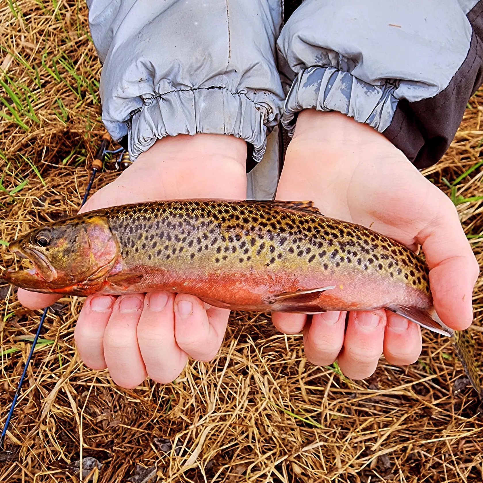 angler catch