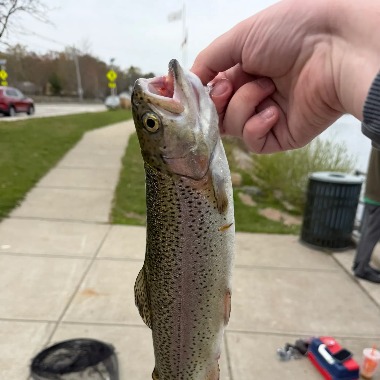 catch
