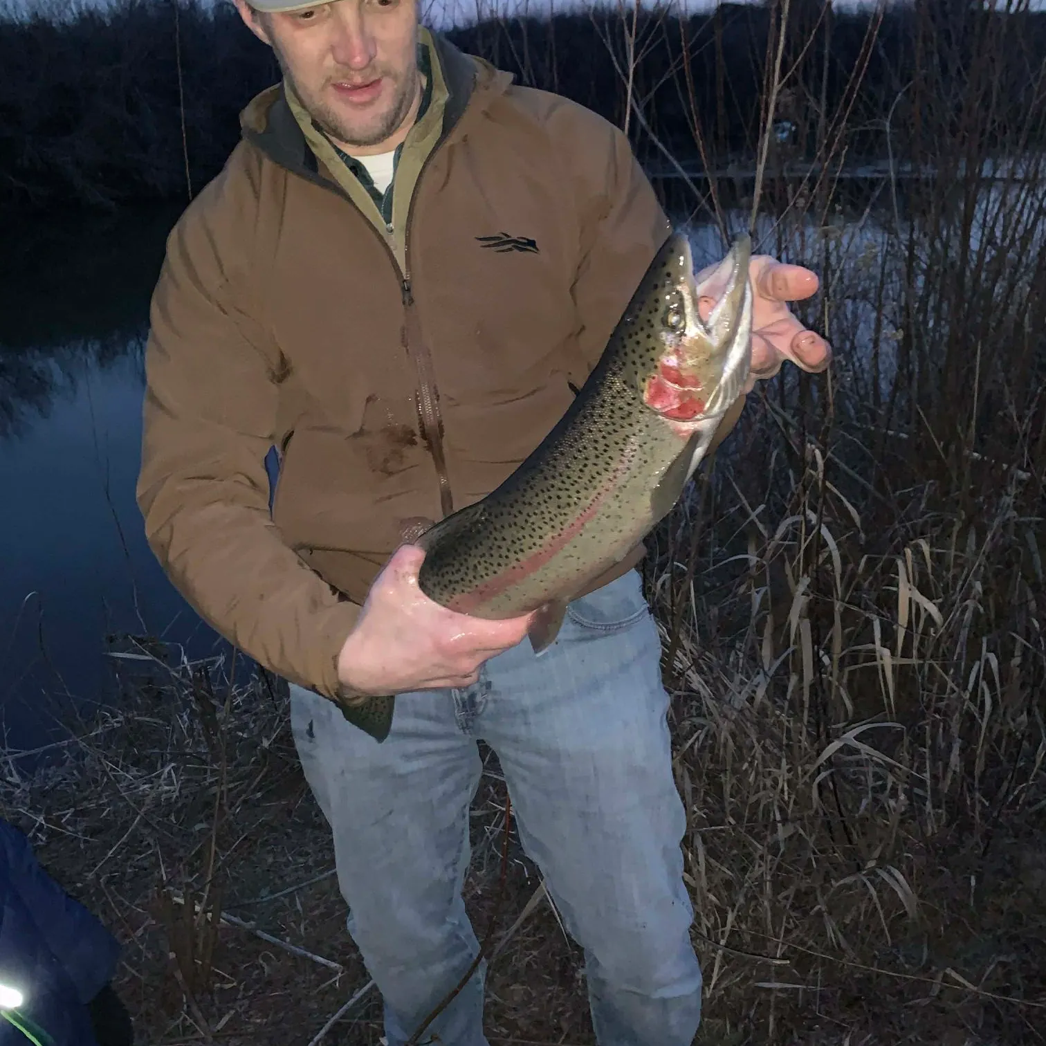 The most recent Steelhead catches on Fishbrain