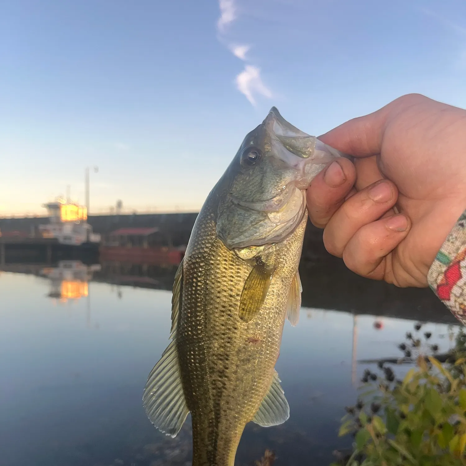 catch