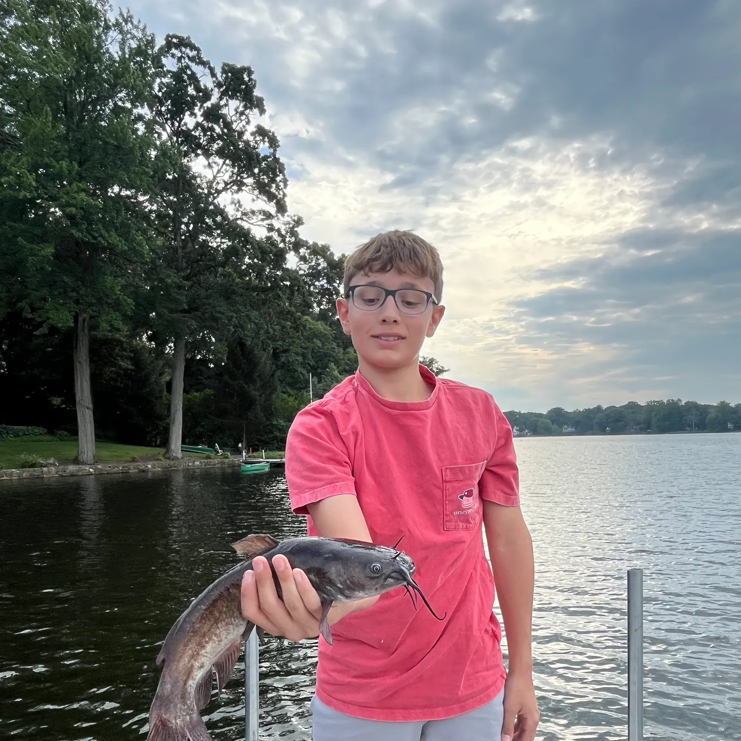 Brown bullhead caught on Fishbrain