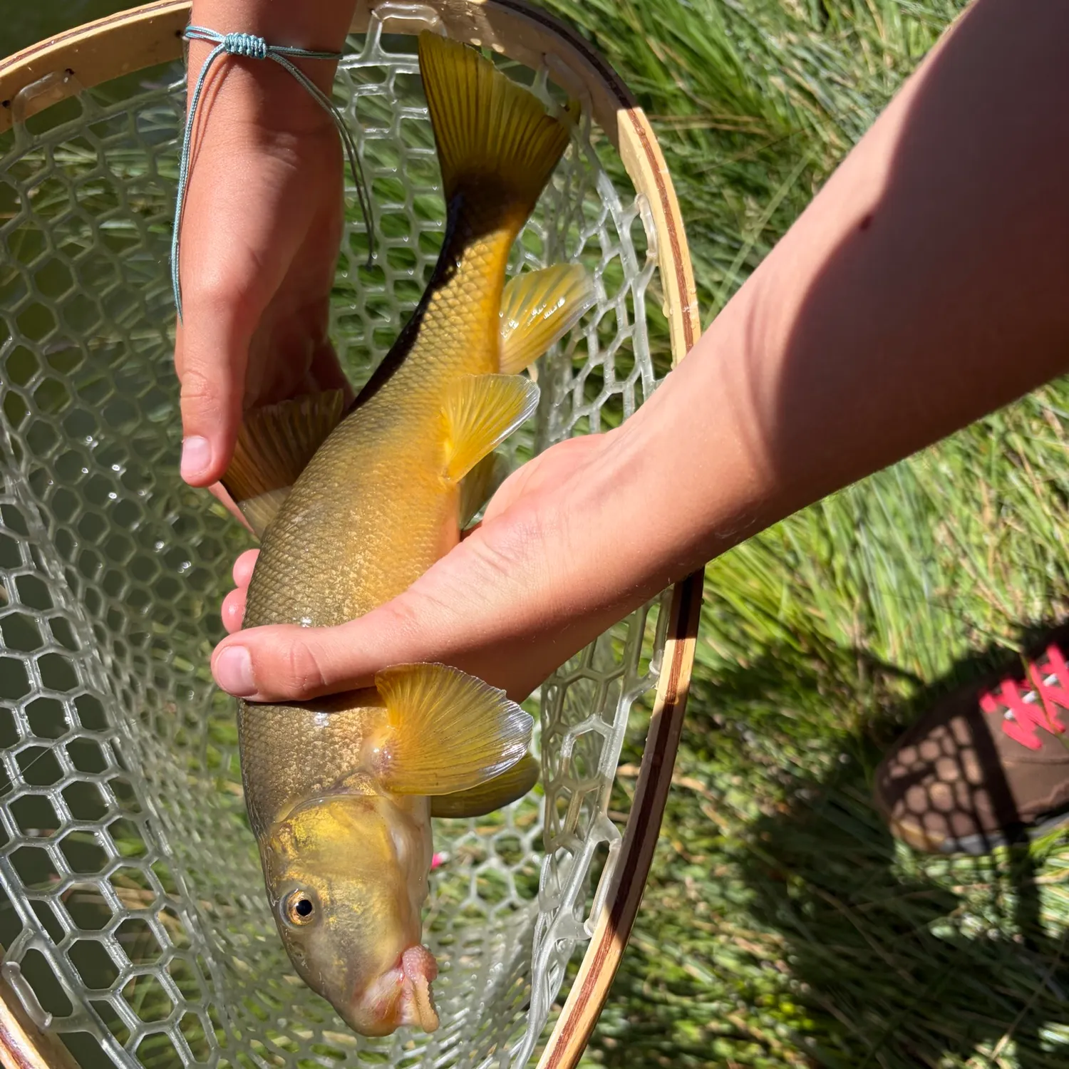 catch