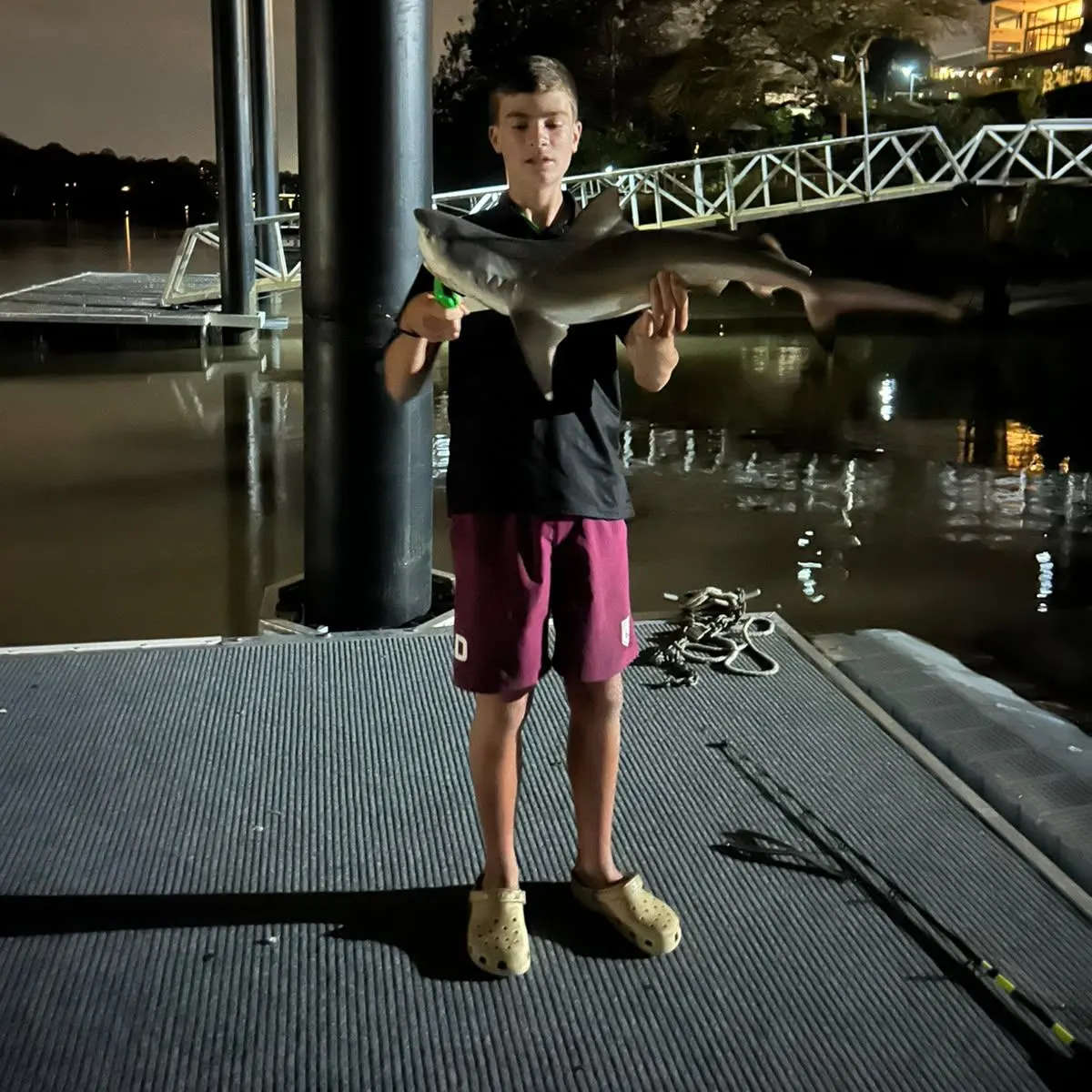 Bull shark caught on Fishbrain