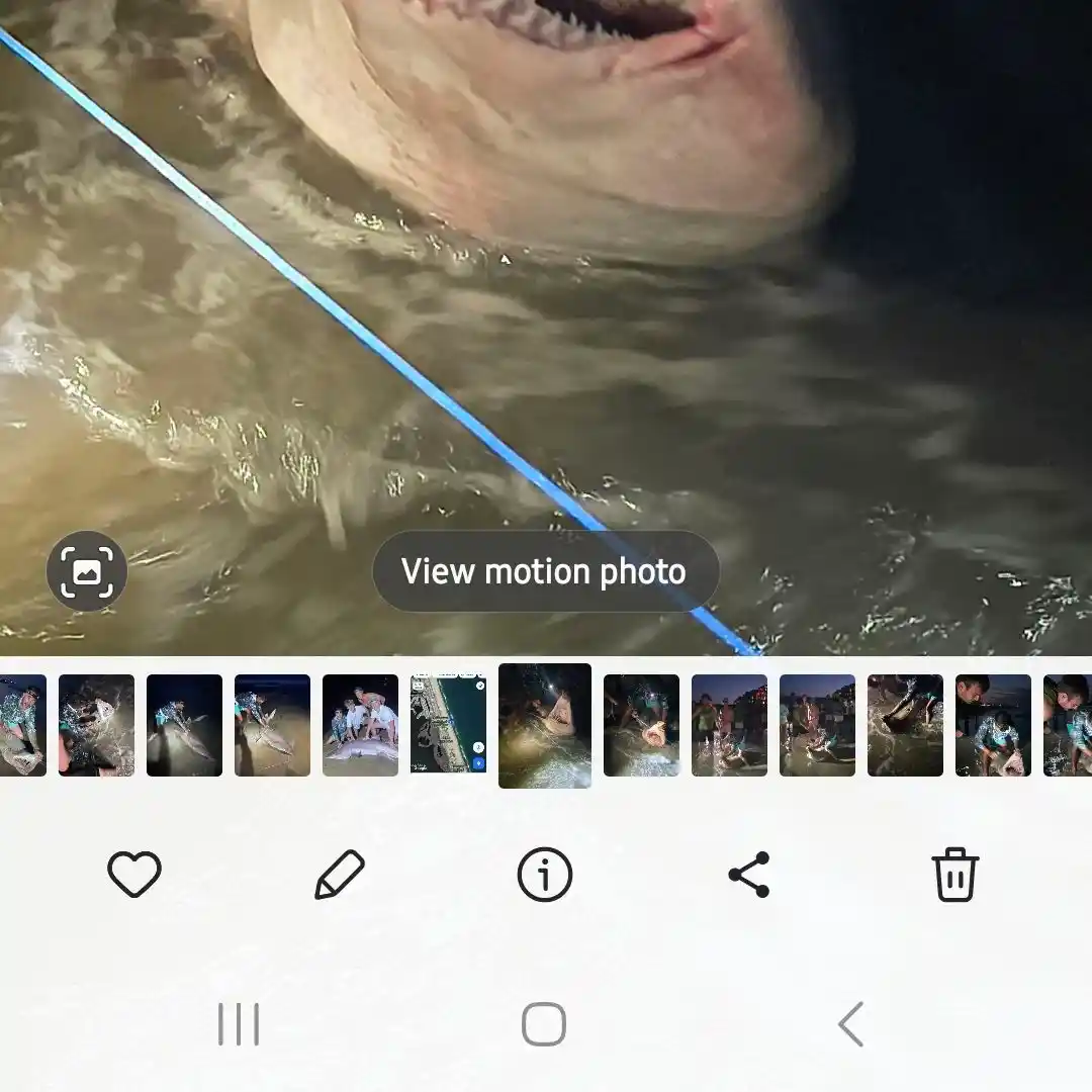 most liked catch image