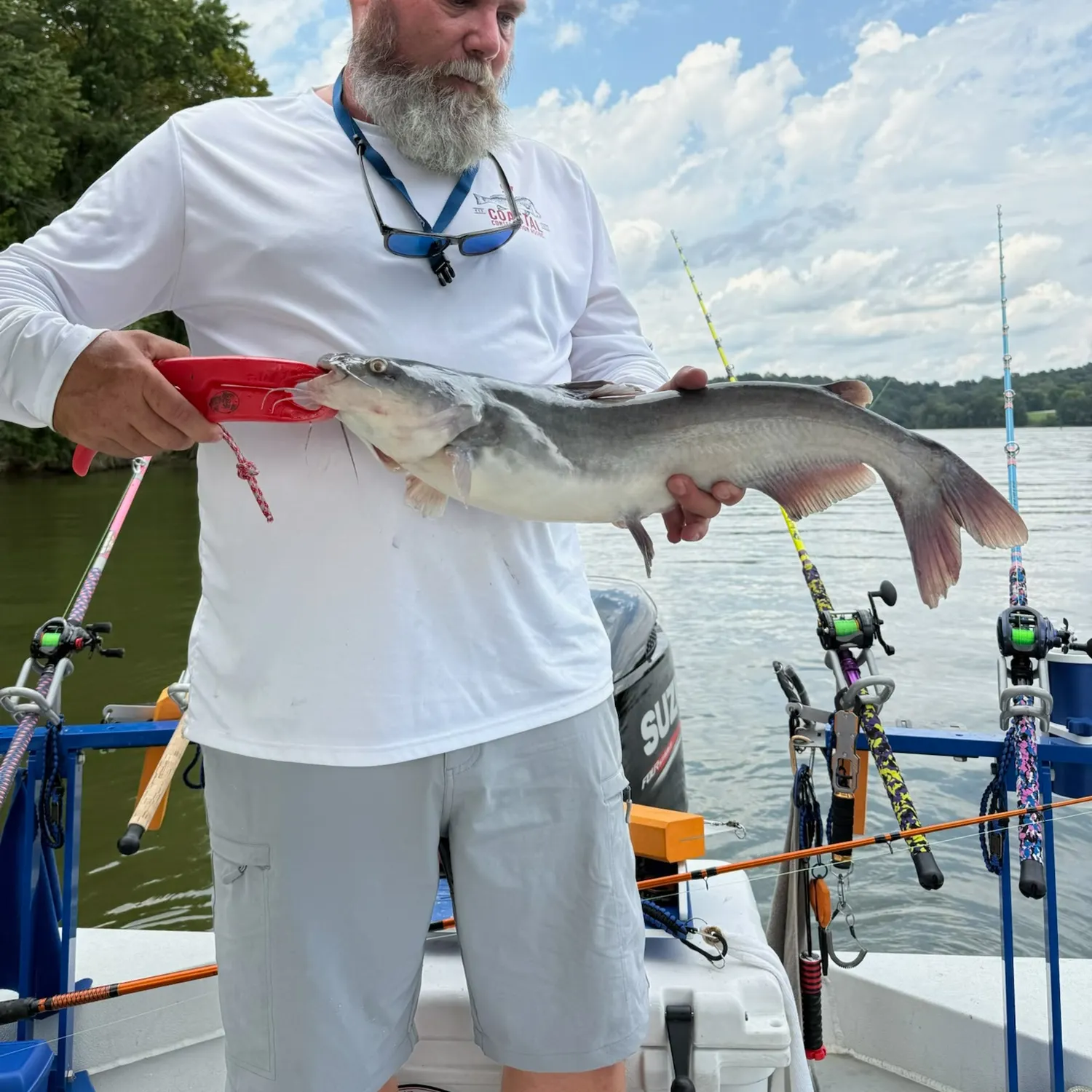 Blue catfish caught on Fishbrain