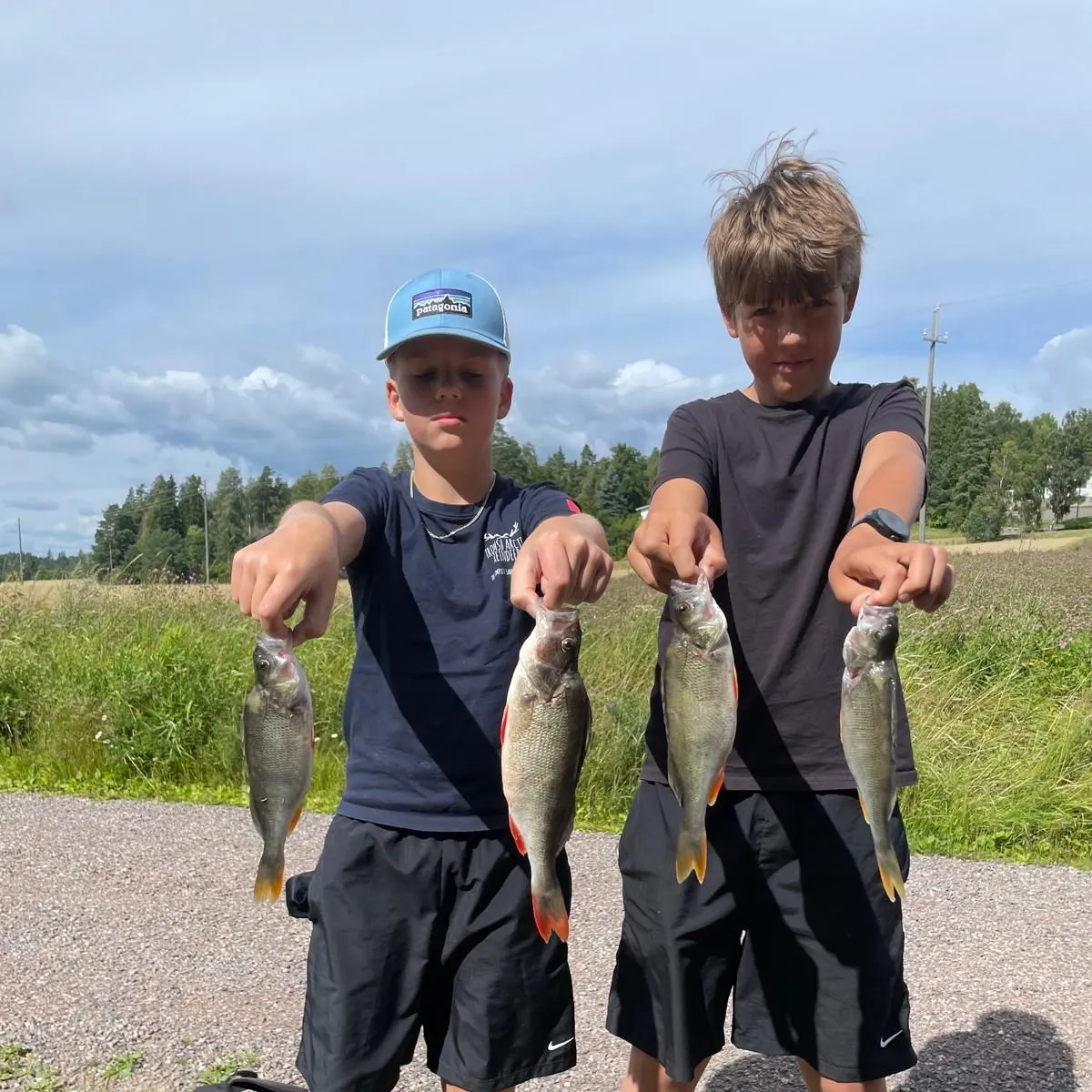 recently logged catches
